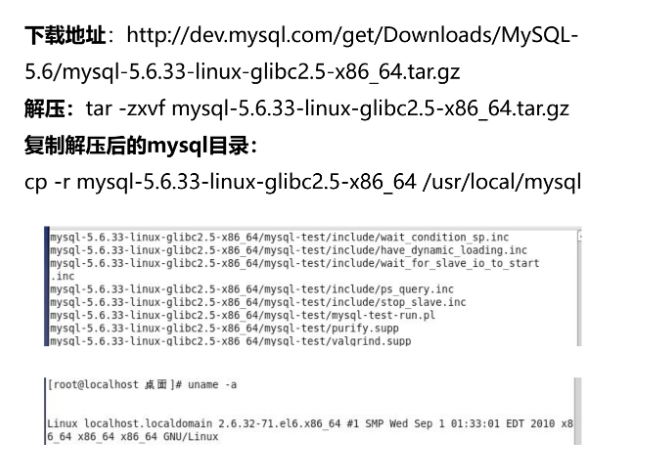 密码保护：MySQL安全基线及加固