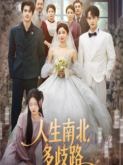 人生南北多歧路（45集）谭心＆辛灏云