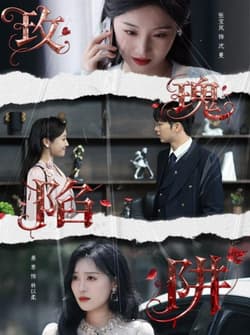 玫瑰陷阱（40集）陈瑞＆张宝岚