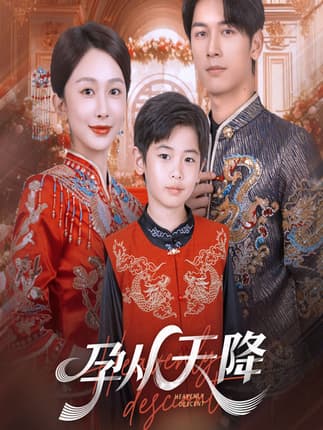 孕从天降（70集）