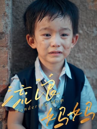 流浪妈妈（30集）