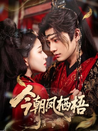 今朝凤栖梧（68集）柳甯＆韩录锦