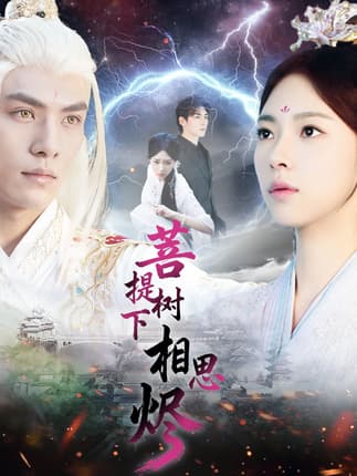 菩提树下相思烬（63集）文渊＆崔一梁