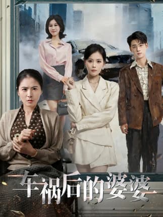 车祸后的婆婆（95集）武帅康＆向云茜＆林俊诗