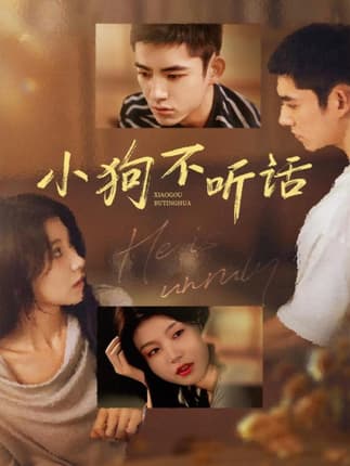 小狗不听话（70集）马浩东＆何田田