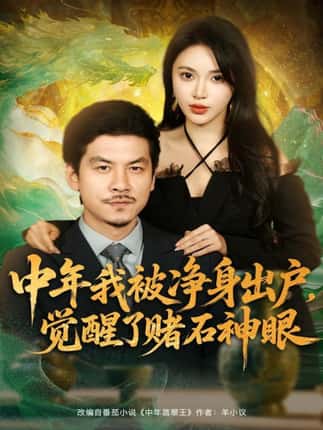 中年我被净身出户，觉醒了赌石神眼（80集）柯珂（柯以）＆王辉