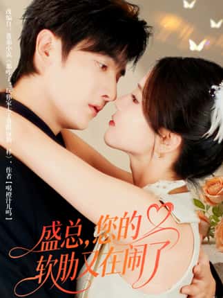 盛总，您的软肋又在闹了（80集）林潇＆张许焓