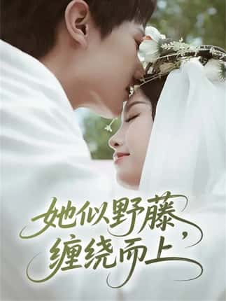 她似野藤，缠绕而上（51集）万烽＆李文茹