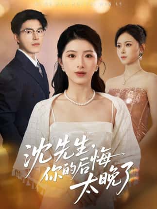 沈先生，你的后悔太晚了（40集）肖琳＆翟中星＆王慧珠