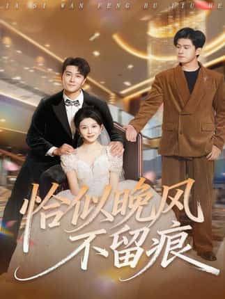 恰似晚风不留痕（61集）田不凡＆孔莹莹