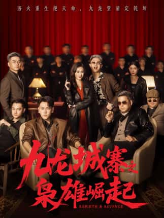 九龙城寨之枭雄崛起＆九龙局中局（71集）龙泽＆南音