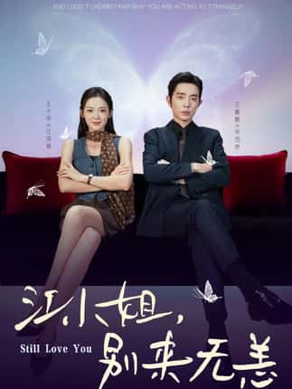 江小姐，别来无恙＆分手五年，宋先生别纠缠（92集）王晨鹏＆王子甲