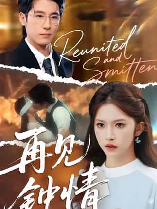 再见钟情（100集）林枫松＆吴毅非