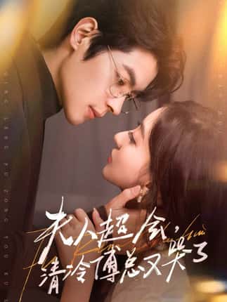 夫人超会，清冷傅总又哭了（77集）董一＆修雨秀