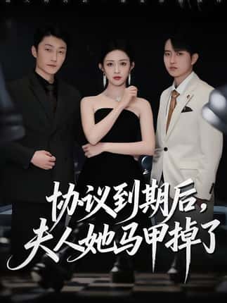 协议到期后，夫人她马甲掉了（53集）张议丹＆吕国聪