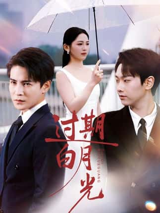 过期白月光（80集）崔秀子&李子锋