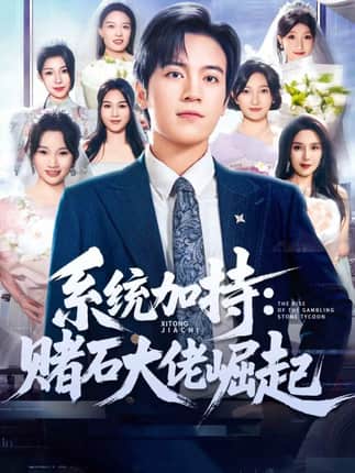 统加持：赌石大佬崛起＆少年赌神：从原石到顶流（77集）田杨＆李芝桦