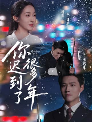 你迟到了很多年（30集）卫仁越＆林亦