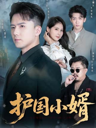 护国小婿（60集）李佳轩&赵志盟