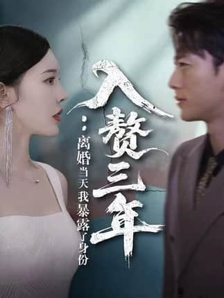 入赘三年：离婚当天我暴露了身份（99集）张子安＆张婉瑶