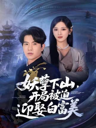 妖孽下山，开局被迫迎娶白富美（81集）李致逸＆赵慧