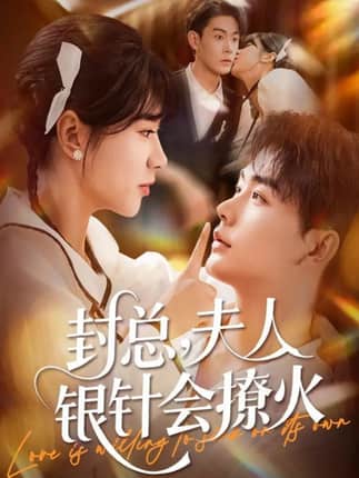 封总，夫人银针会撩火（69集）张昊＆徐海文