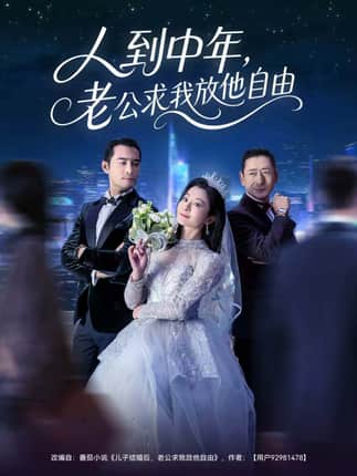 人到中年，老公求我放他自由（60集）宁浩然＆李部