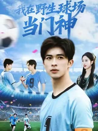 我在野生球场当门神（31集）