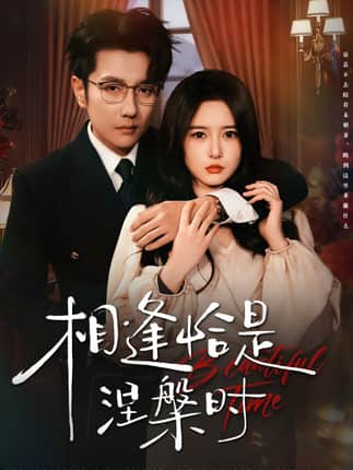 相逢恰是涅槃时（63集）黄波＆毛香淋