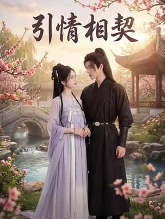 引情相契（14集）Ai短剧