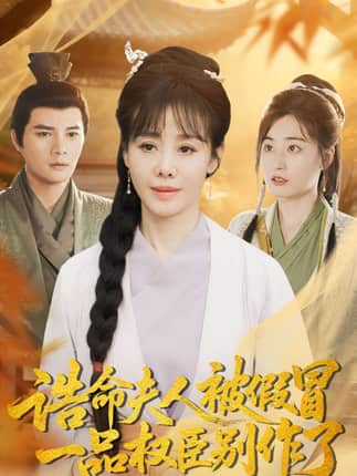 诰命夫人被假冒，一品权臣别作了（98集）王铮＆黄骞