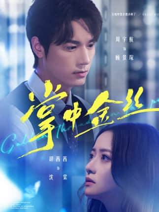 掌中金丝＆长姐她竟是隐藏大佬（60集）周宇航＆胡茜茜