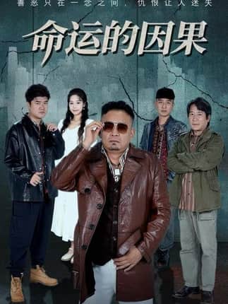 命运的因果（60集）贾楠&刘诣文