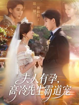 夫人有孕，高冷先生霸道宠