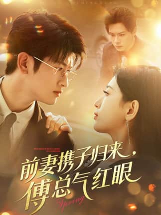 前妻携子归来傅总气红眼