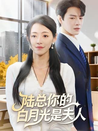 陆总你的白月光是夫人