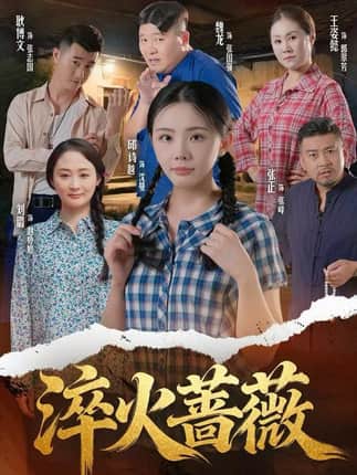 淬火蔷薇（50集）邱诗越&张正&魏龙