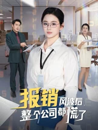 报销风波后，整个公司都慌了（60集）刘韶袆&刘晓兵