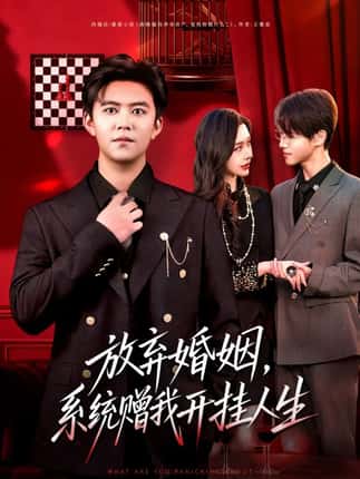 放弃婚姻，系统赠我开挂人生（60集）王依海＆张子唯
