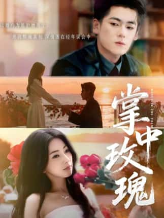 掌中玫瑰（60集）聂基坤＆冶梓