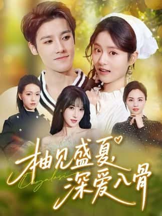 柚见盛夏，深爱入骨（65集）左馨&沈帆