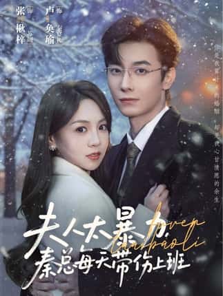 夫人太暴力，秦总每天带伤上班（80集）卢奂瑜＆张楸梓