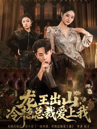 龙王出山，冷艳总裁爱上我（80集）郭嘉琦＆宋宇欣