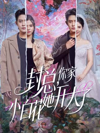 封总，你家小白花她开大了＆大佬你的牙粘口红了（60集）王朝阳＆邓燕妮