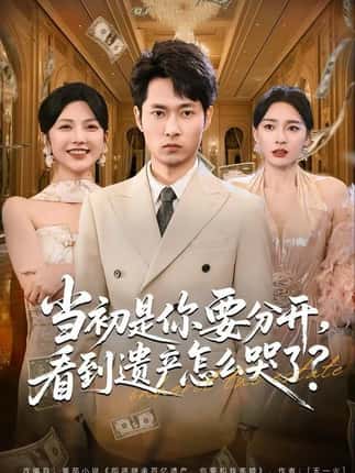 当初是你要分开，看到遗产怎么哭了？（70集）霍俊全＆金珊＆曹瑶佳