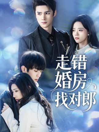 走错婚房找对郎（50集）刘辰锐＆刘艺然