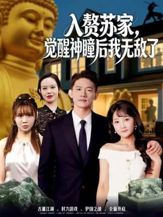 入赘苏家，觉醒神瞳后我无敌了（80集）梁溪＆朱信宗