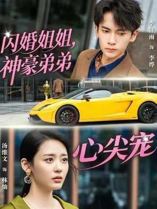 闪婚姐姐，神豪弟弟心尖宠（54集）李泽雨＆汤维文